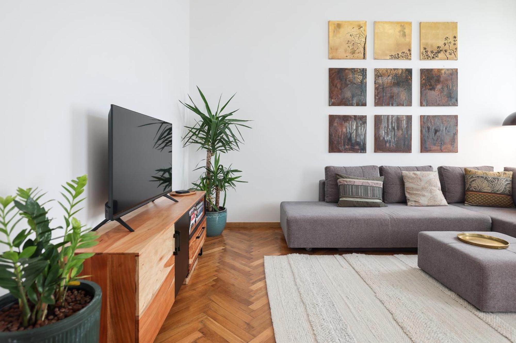 Vlahov Spirit Apartament *